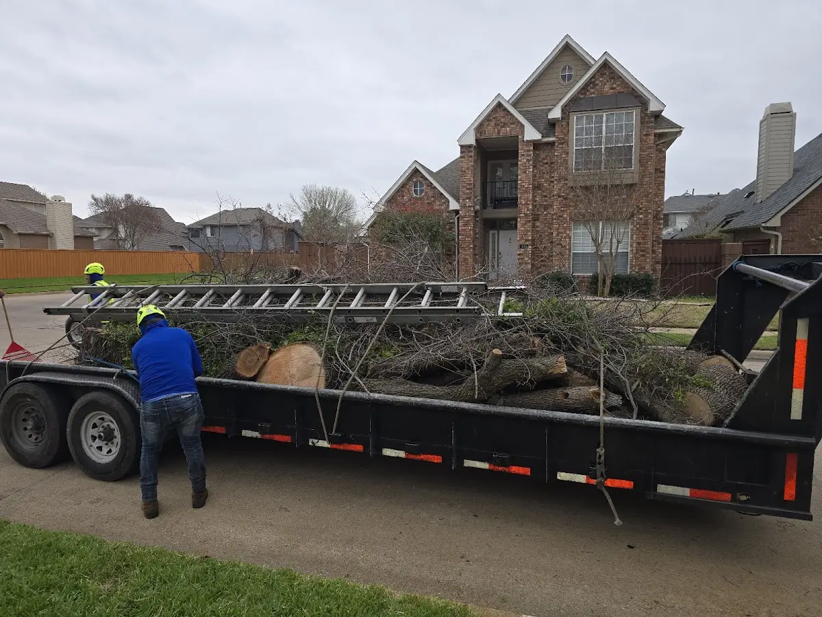 Expert Tree Pest Control with proper safety equipment in Bushland